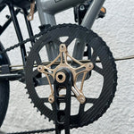 Lightworks Carbon Chainring